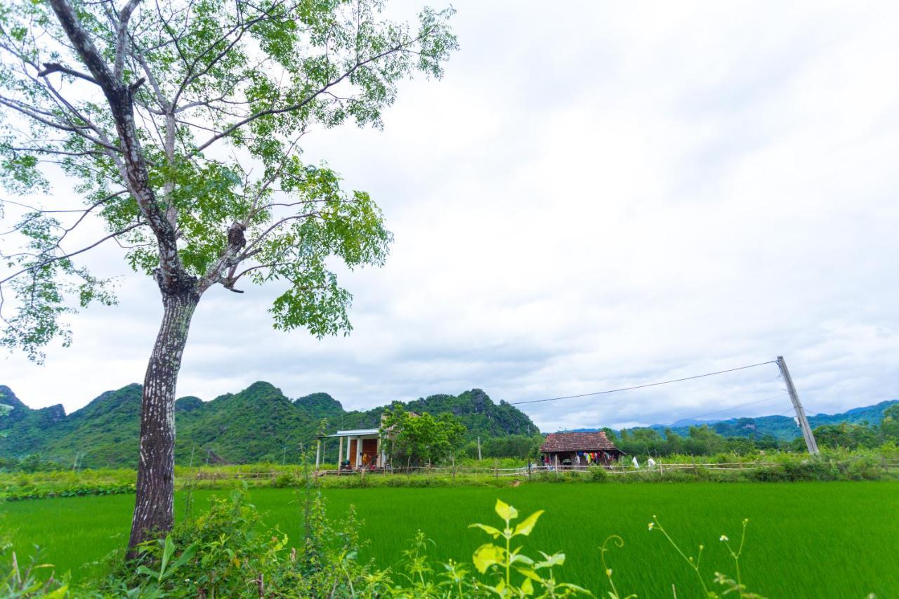Pomelo Homestay ฟ็องญา ภายนอก รูปภาพ