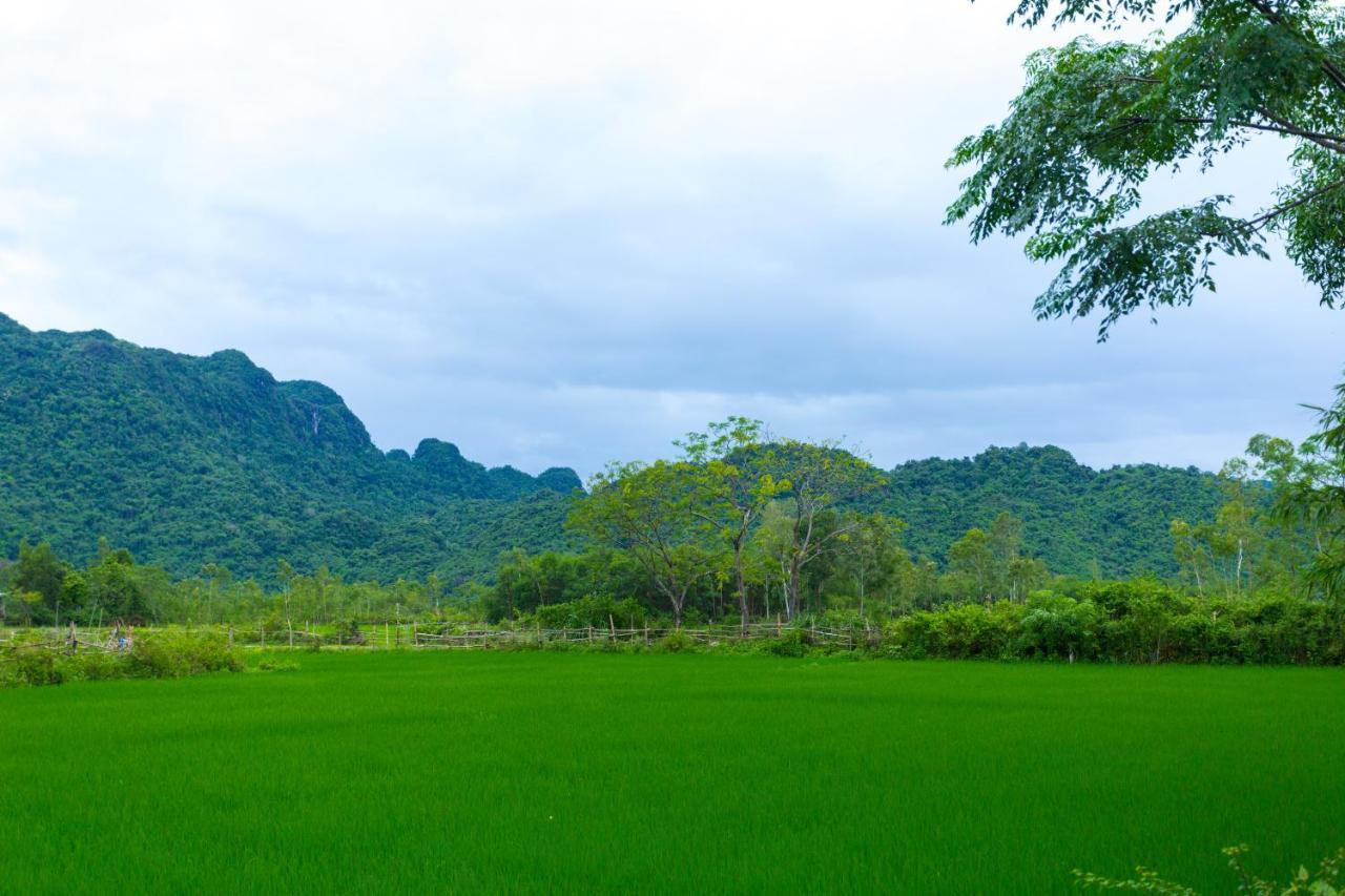 Pomelo Homestay ฟ็องญา ภายนอก รูปภาพ