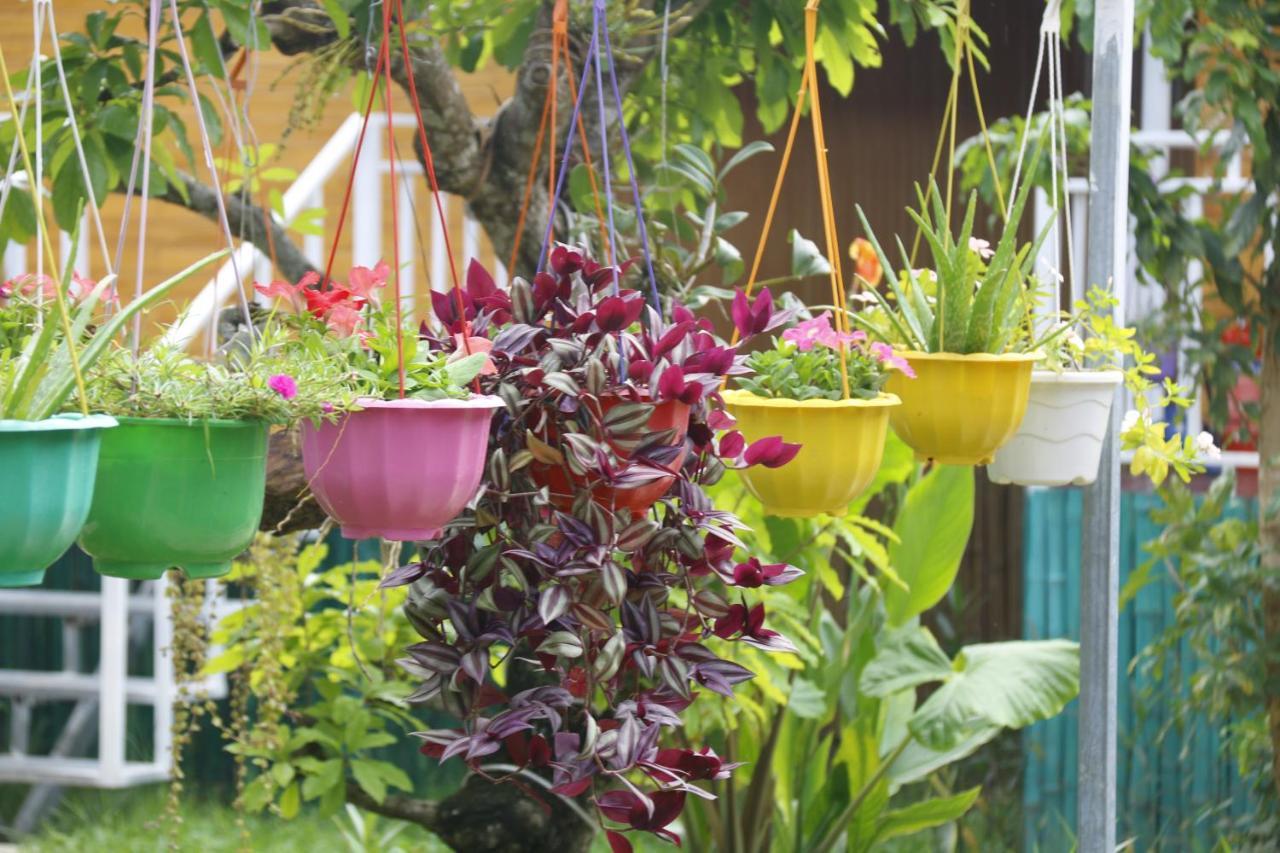 Pomelo Homestay ฟ็องญา ภายนอก รูปภาพ