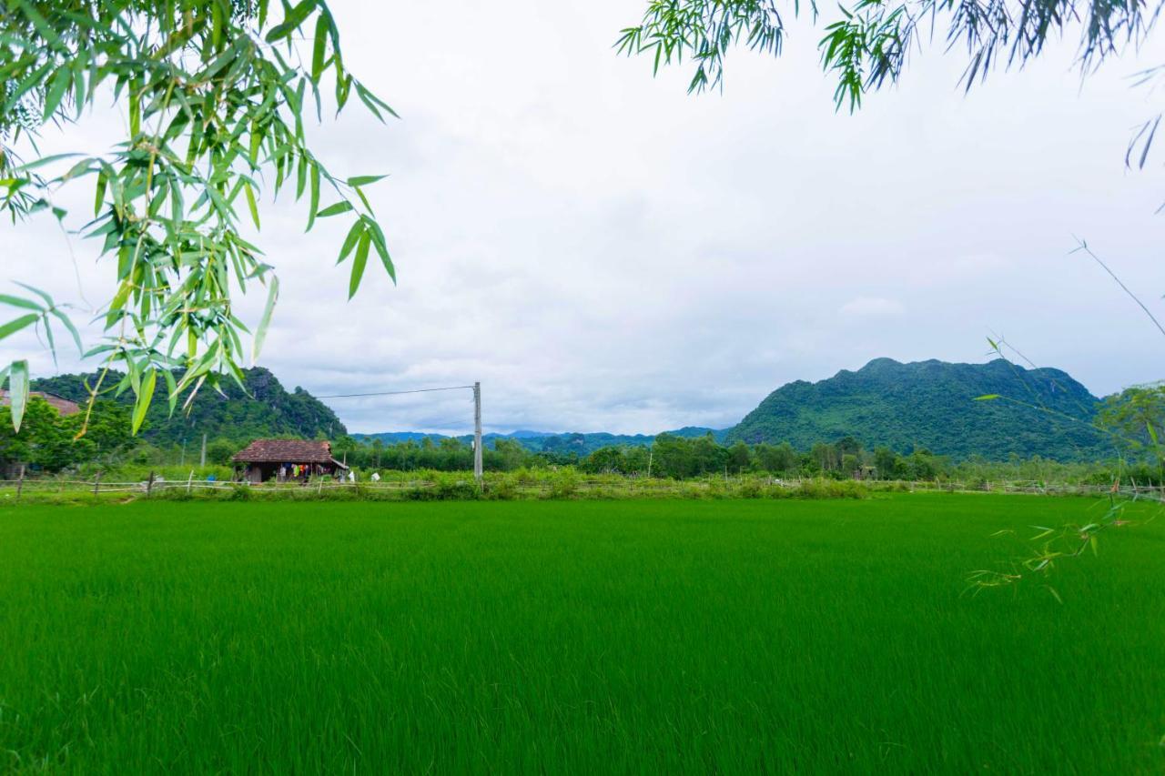 Pomelo Homestay ฟ็องญา ภายนอก รูปภาพ